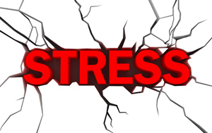 stress dementia Alzheimer's Disease