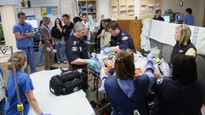 medical professionals shift work going gentle into that good night