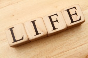 Life experiences are factors in dementias and Alzheimer's Disease