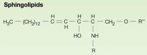 Chemistry of sphingolipid