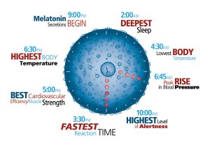 Circadian rhythm and sleep disruptions affect our loved ones with dementias and Alzheimer's Disease when DST begins and ends