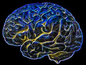 image of brain
