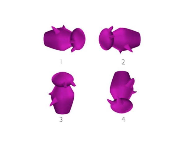 MICHAEL J TARR CENTRE FOR THE NEURAL BASIS OF COGNITION AND DEPARTMENT OF PSYCHOLOGY CARNEGIE MELLON UNIVERSITY Greebles test for dementia risk